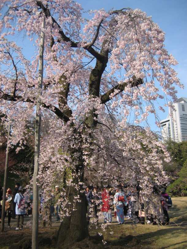 東京